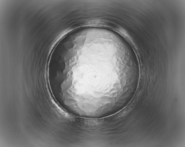 X0000079300855200612011748