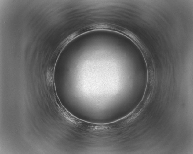 X0000079300857200612011748