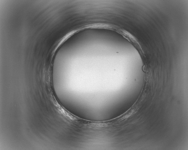 X0000079300860200612011748