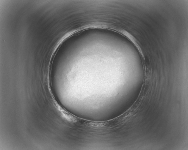 X0000079300861200612011748