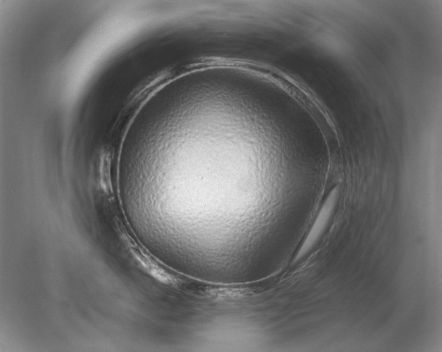 X0000079300862200612011748