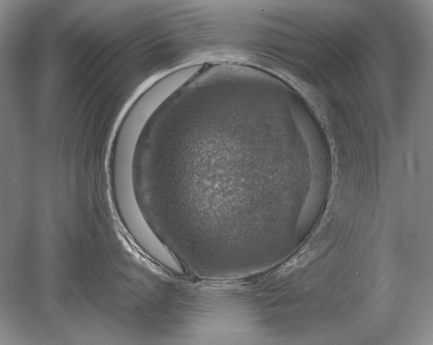 X0000079300864200612011748