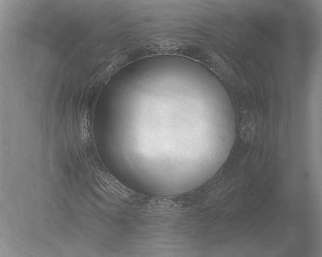 X0000079300866200612011747