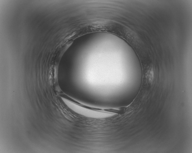 X0000079300868200612011747