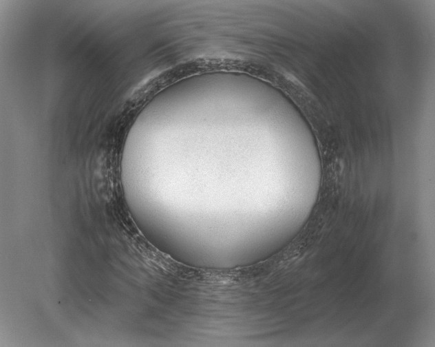 X0000079300870200612011747