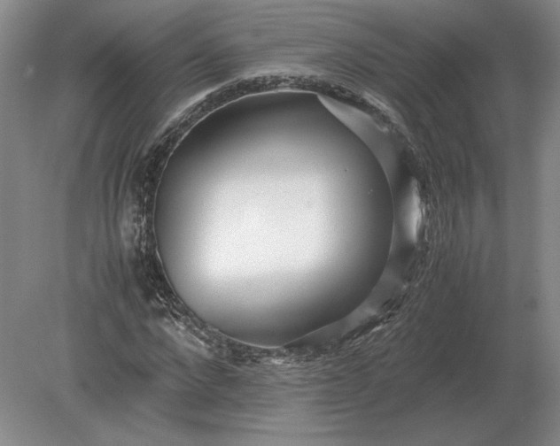 X0000079300872200612011747