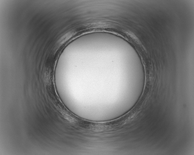 X0000079300873200612011747