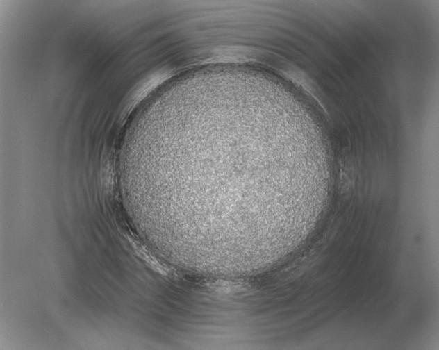 X0000079300874200612011747