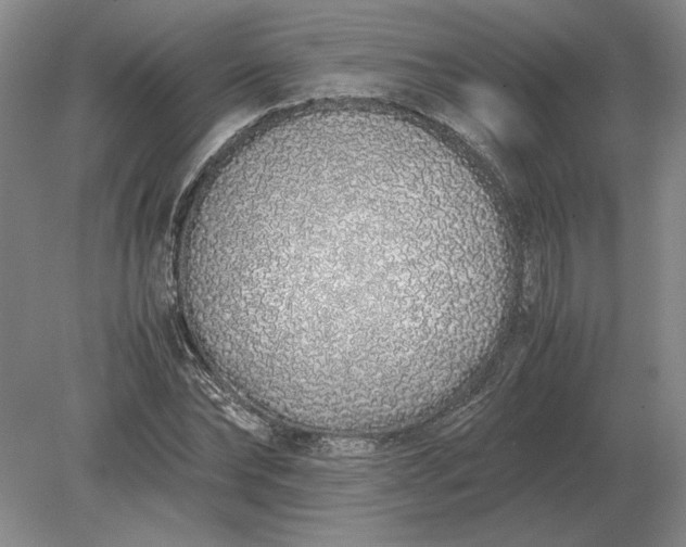X0000079300878200612011747