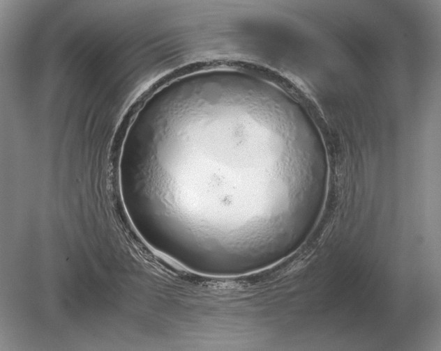 X0000079300879200612011747