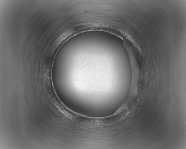 X0000079300881200612011747