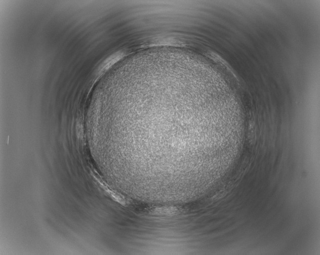 X0000079300882200612011747