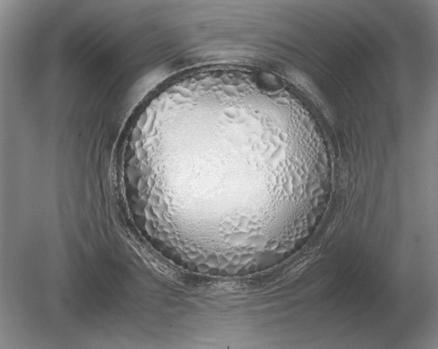 X0000079300883200612011747