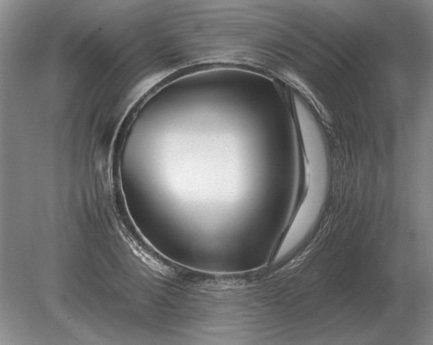 X0000079300884200612011747