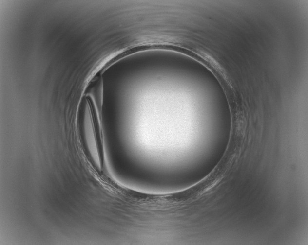 X0000079300885200612011747