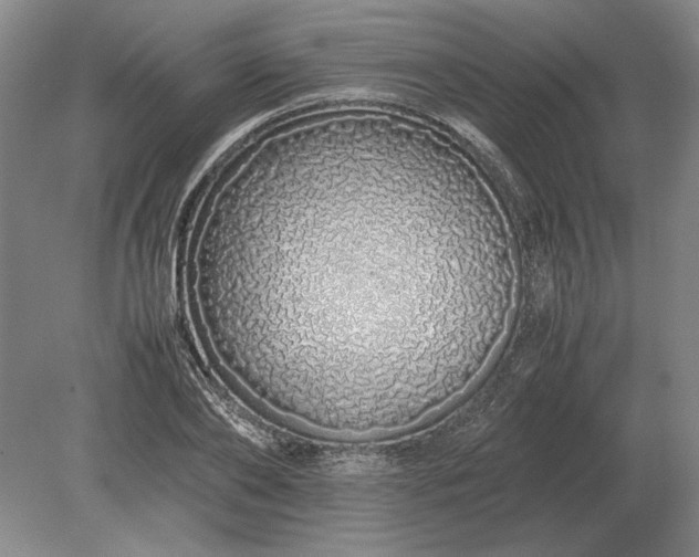 X0000079300886200612011747