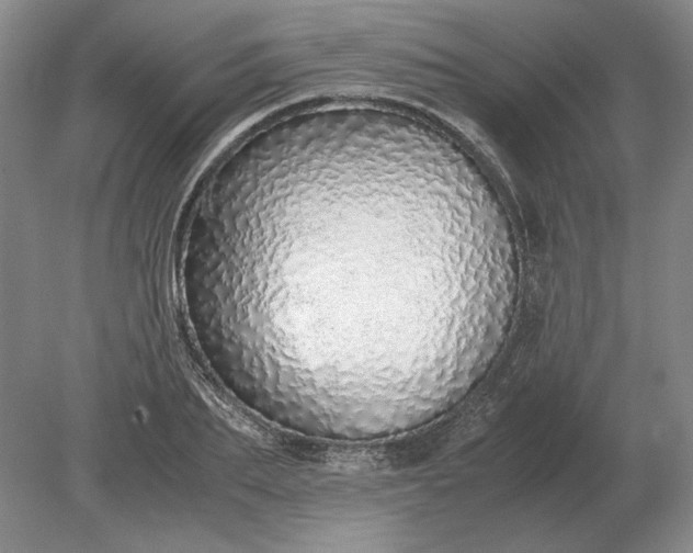 X0000079300887200612011747
