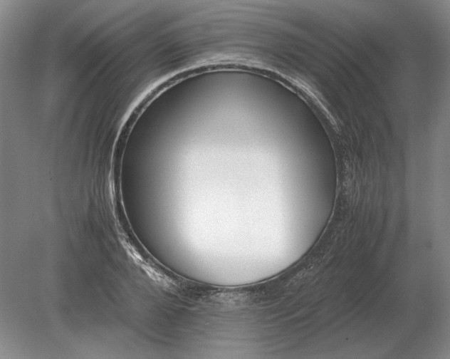 X0000079300888200612011747