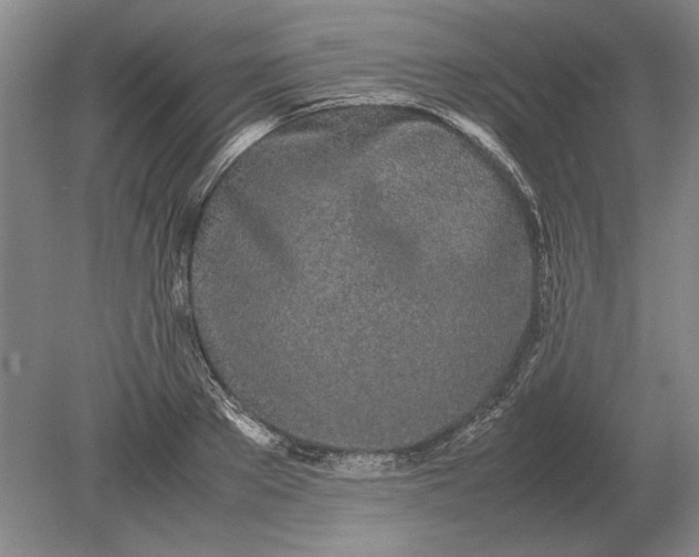 X0000079300889200612011747