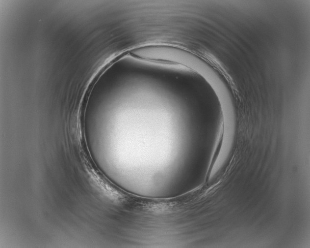 X0000079300892200612011747
