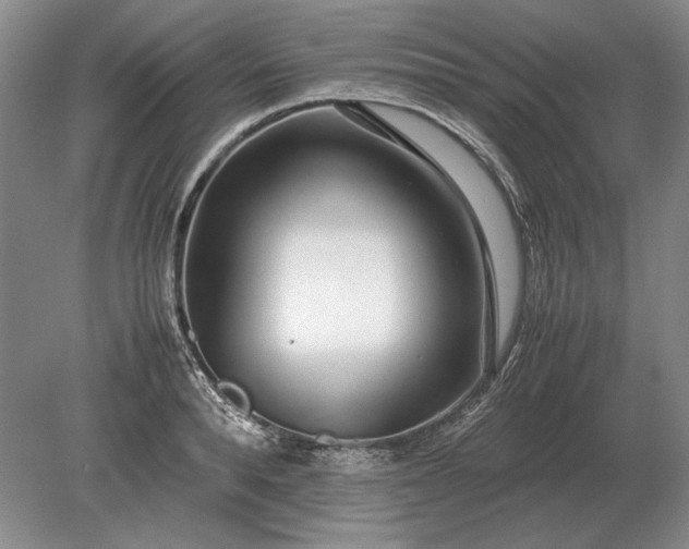 X0000079300896200612011747