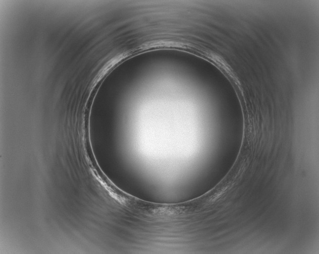 X0000079300898200612011747