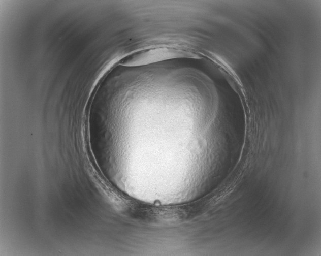 X0000079300899200612011747