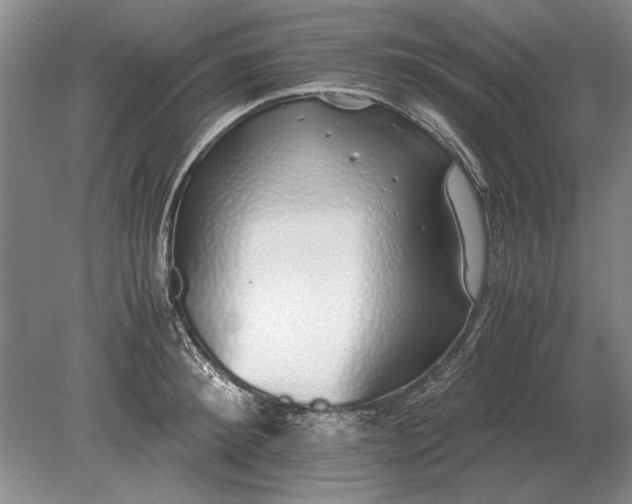 X0000079300900200612011747