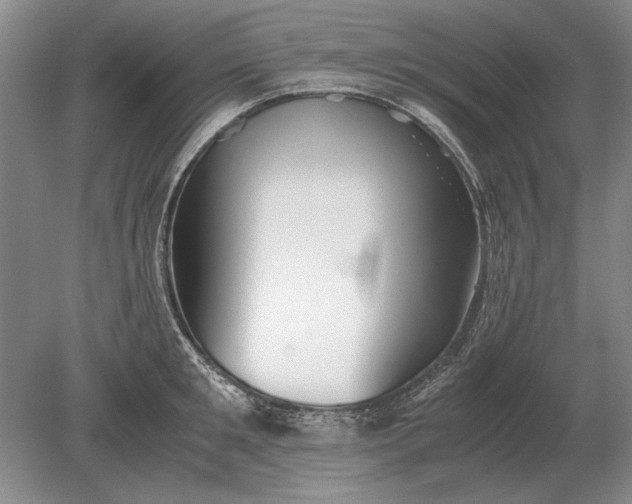 X0000079300901200612011746