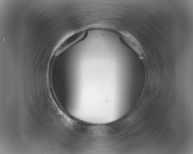 X0000079300902200612011746