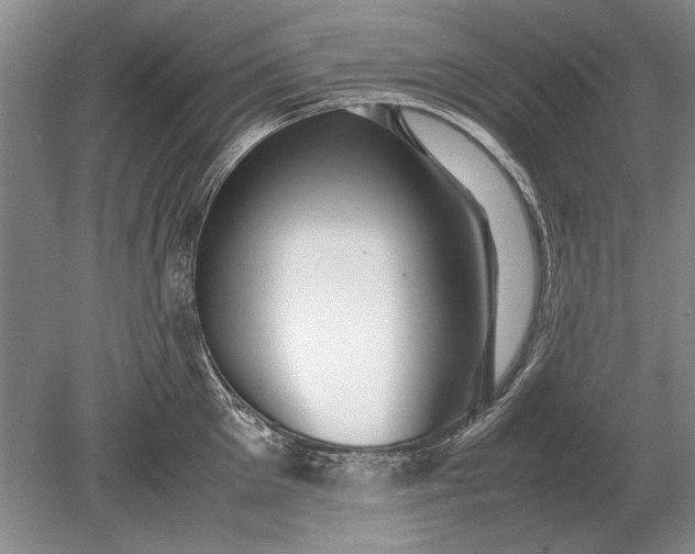 X0000079300905200612011746