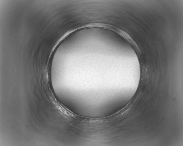 X0000079300908200612011746