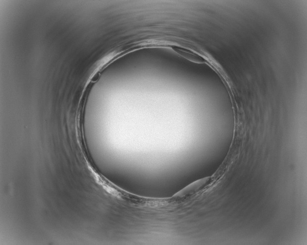 X0000079300909200612011746