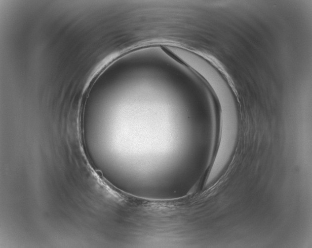 X0000079300910200612011746