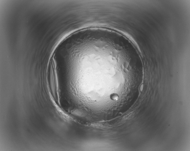 X0000079300911200612011746