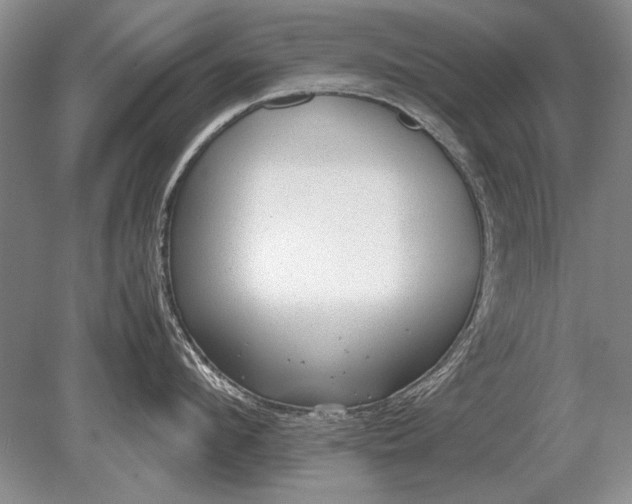 X0000079300912200612011746