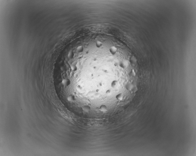 X0000079300913200612011746