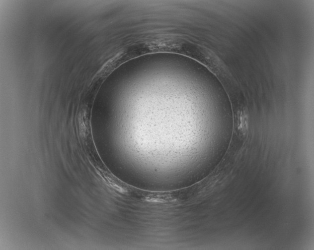 X0000079300915200612011746