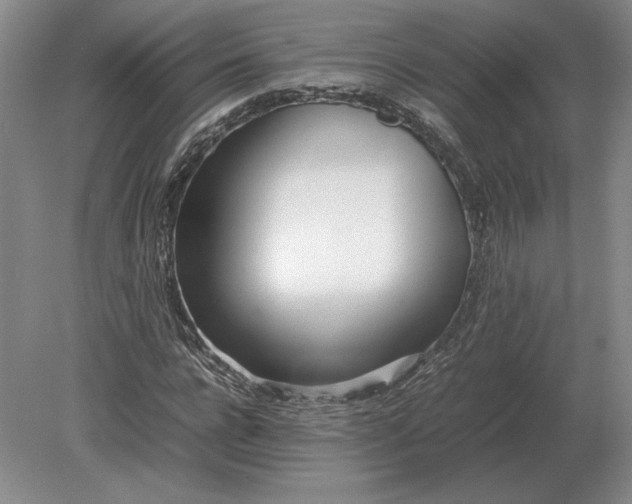 X0000079300920200612011746