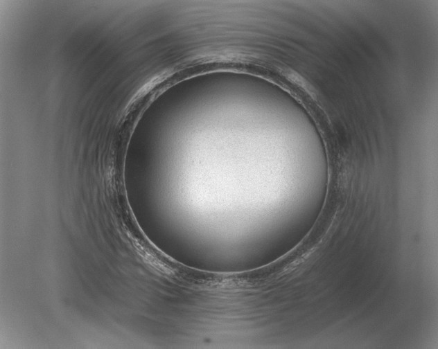 X0000079300922200612011746