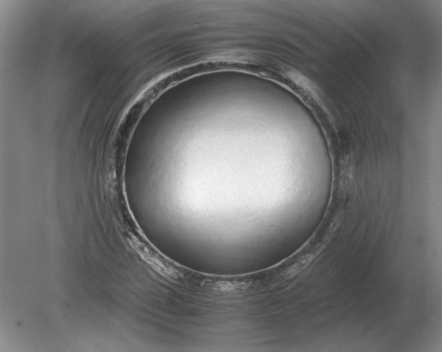 X0000079300923200612011746