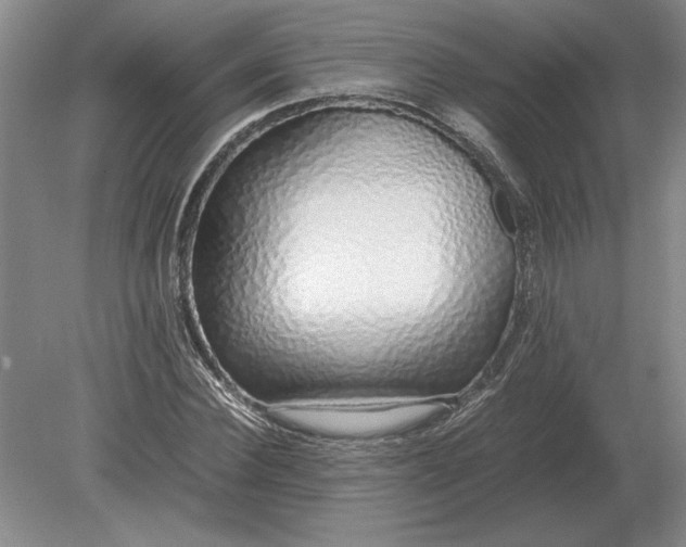 X0000079300924200612011746