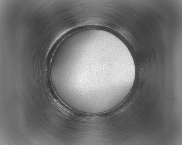 X0000079300926200612011746