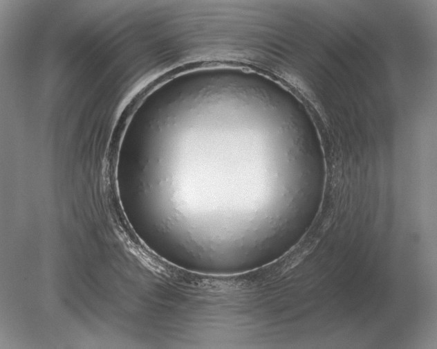 X0000079300928200612011746