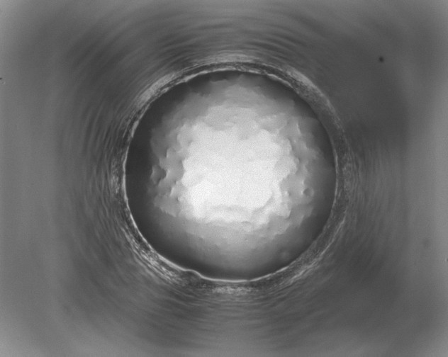 X0000079300929200612011746