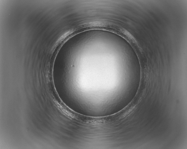 X0000079300930200612011746