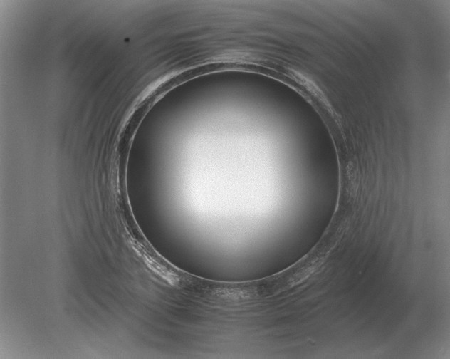 X0000079300931200612011746
