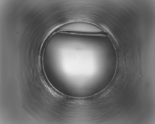 X0000079300932200612011746