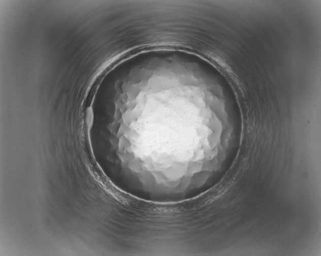 X0000079300933200612011746