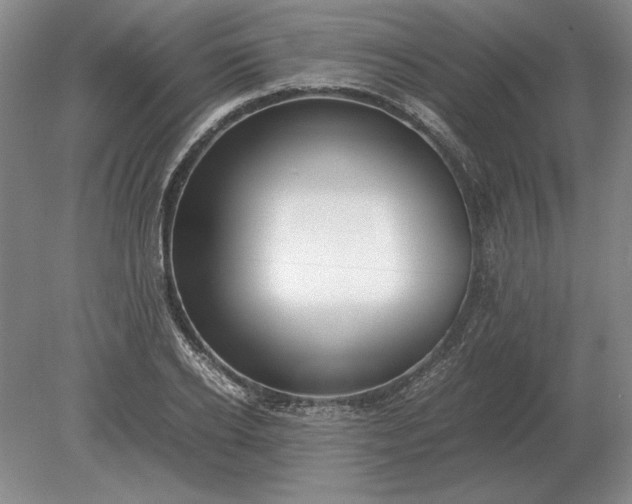 X0000079300934200612011746